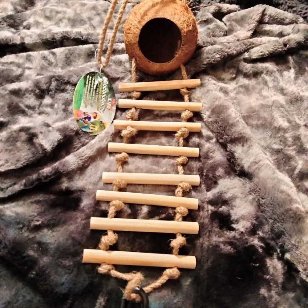 🐰🎉Hanging Coconut Hide With Ladder Perch Toy For Birds